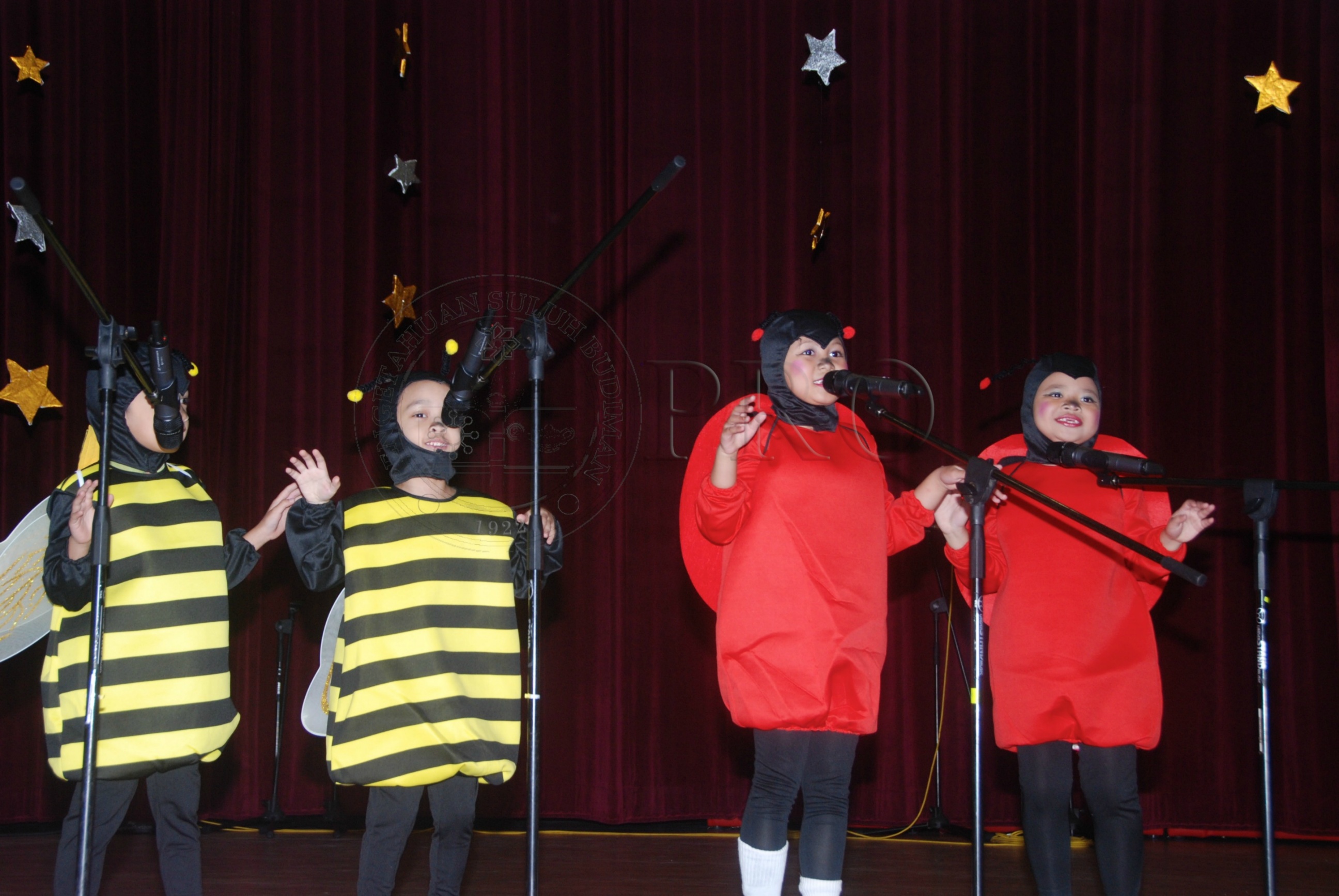 PRO 12 126 pkkk DSC 7509